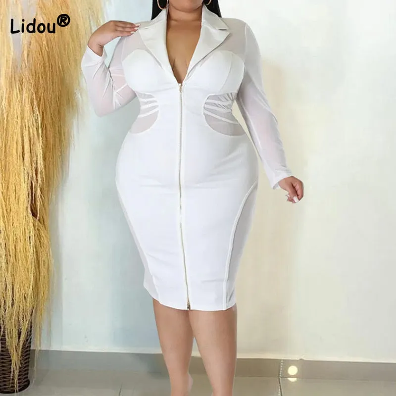 Fashion Shirt Collar Zipper Long Sleeve Dress