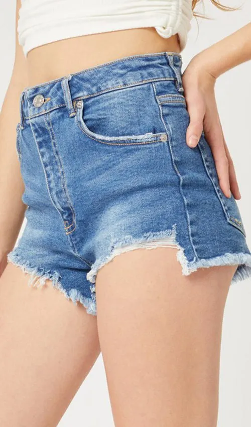 High Rise Distressed  Denim Shorts