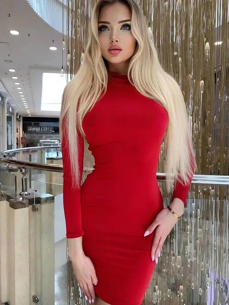 Long Sleeve Turtleneck Mini Dress