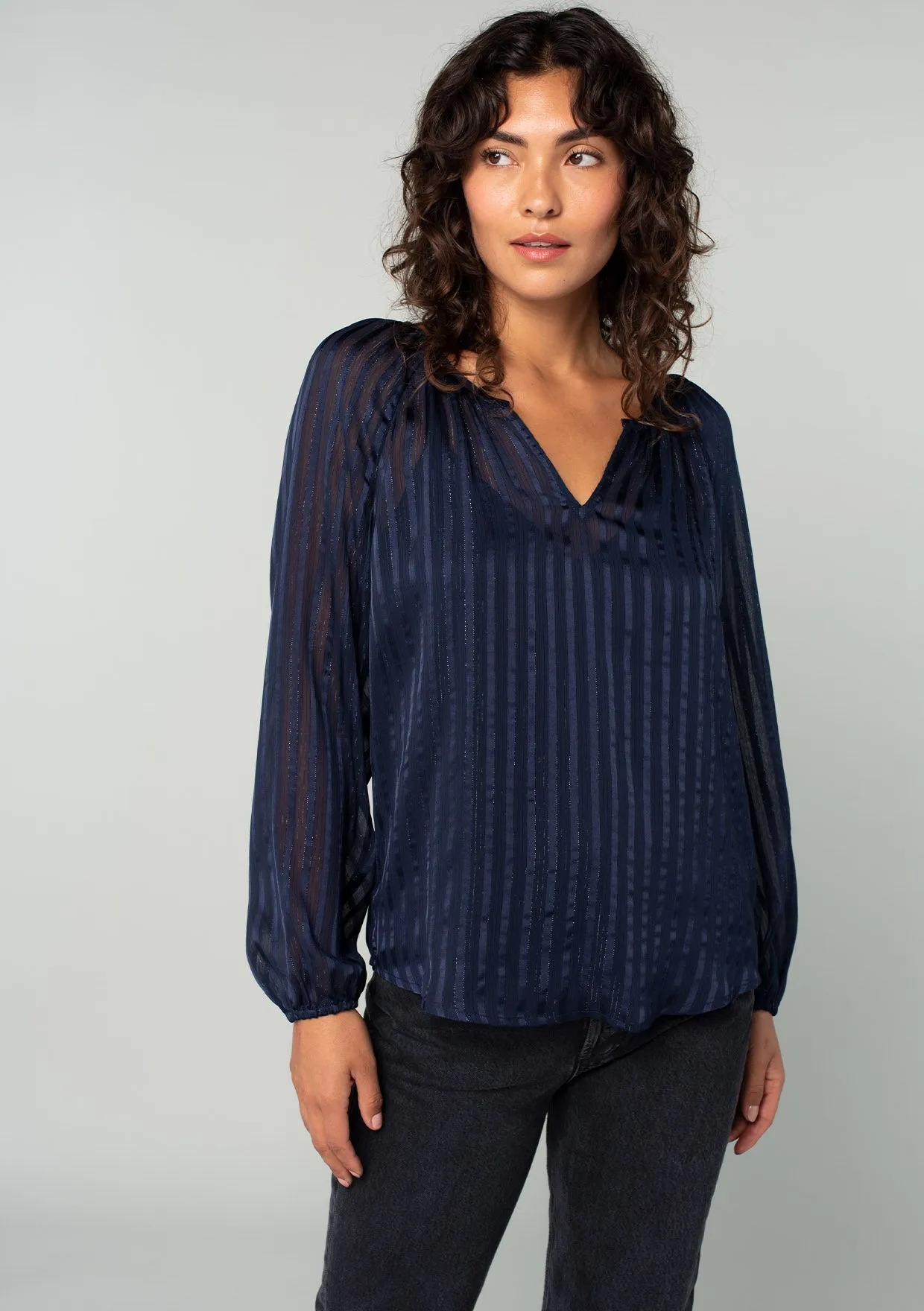 Sheer Metallic Striped Long Sleeve Blouse