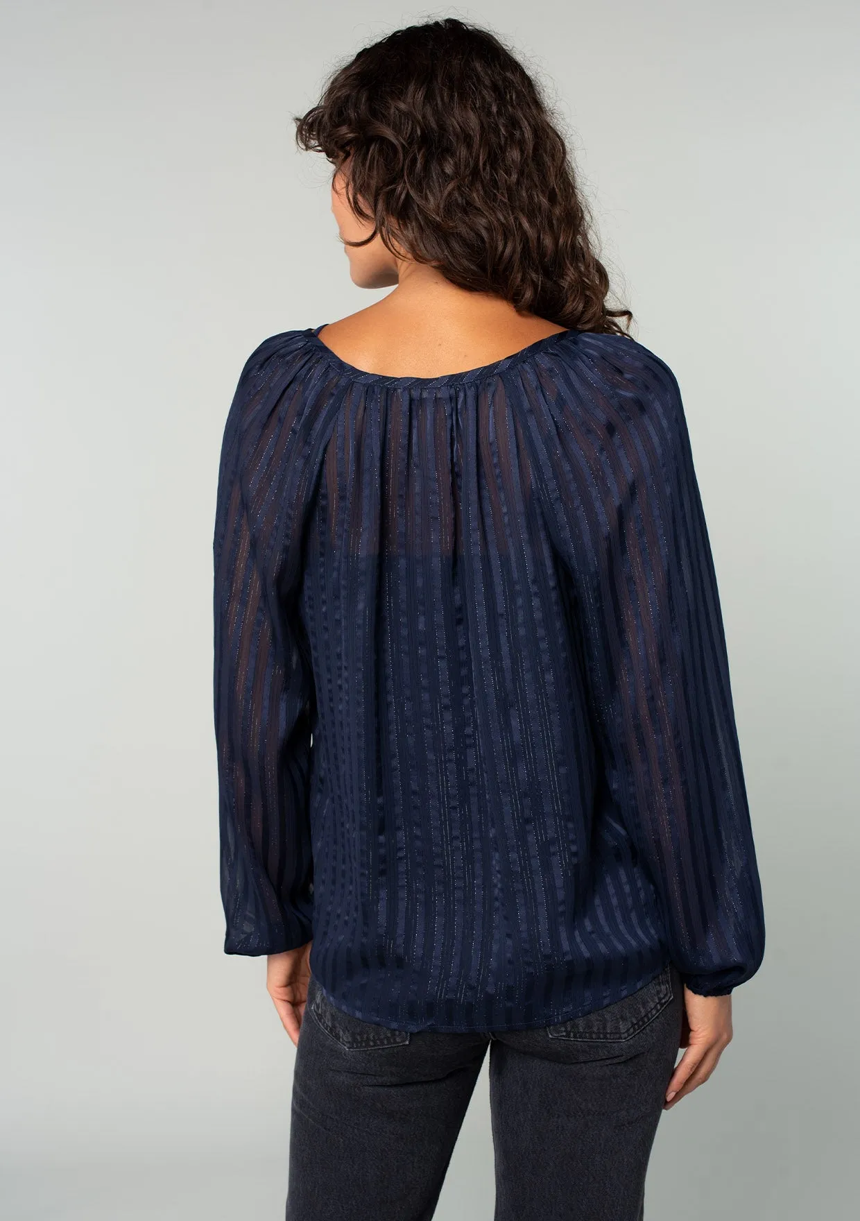 Sheer Metallic Striped Long Sleeve Blouse
