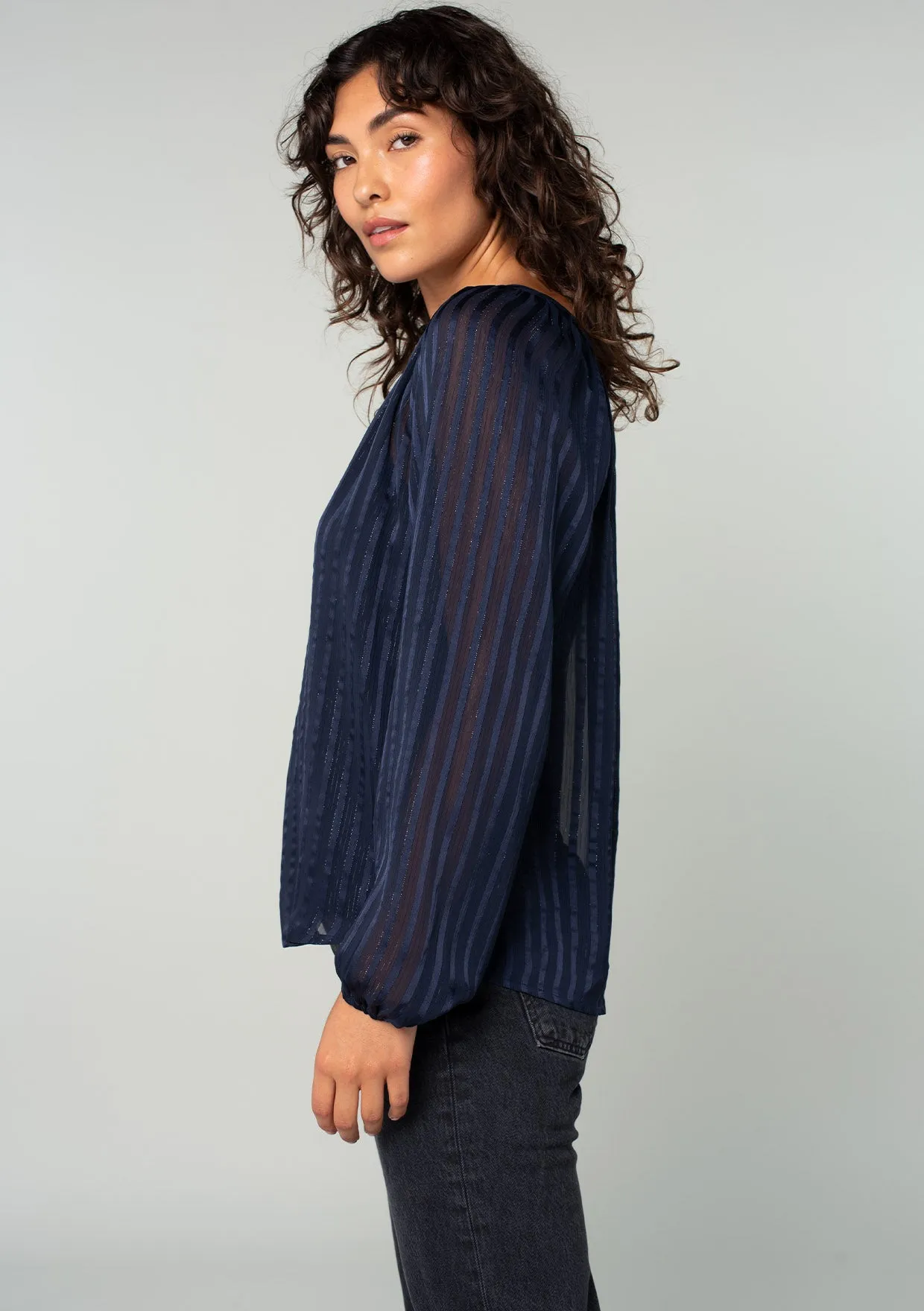 Sheer Metallic Striped Long Sleeve Blouse