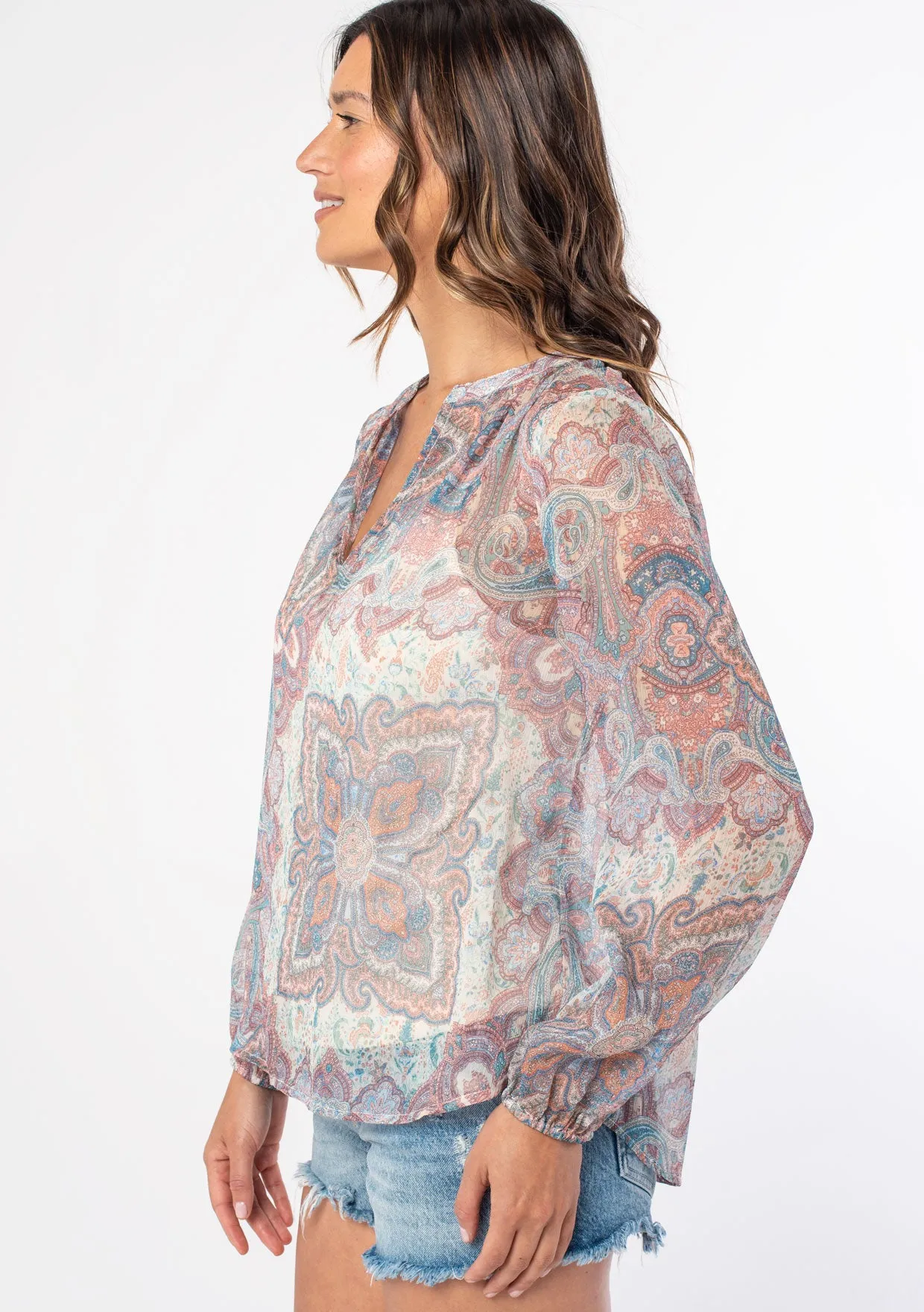 Sheer Paisley Print Long Sleeve Blouse