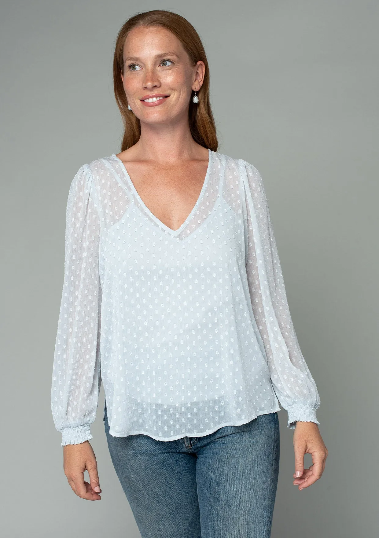 Sheer Swiss Dot Long Sleeve V Neck Blouse