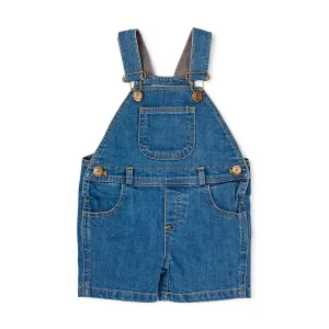 Stonewash Denim Shorts