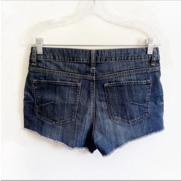 Talula Aritzia shorts blue denim cutoffs distressed mid rise